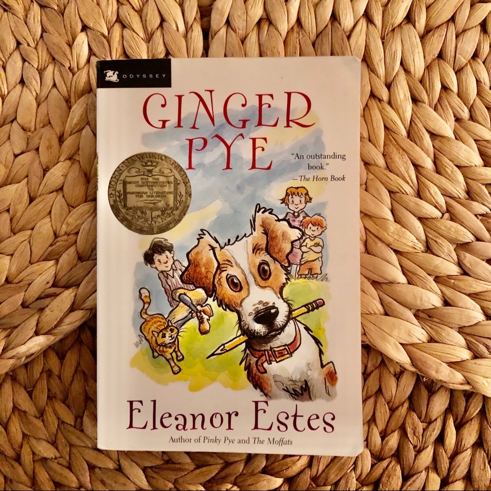 Ginger Pye Paperback Childrens Book